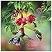 5D DIY Diamond Painting Kit Hummingbird Rhinestones Embroidery Square Drill Mosaic Picture Home Decor (12X12 inch)