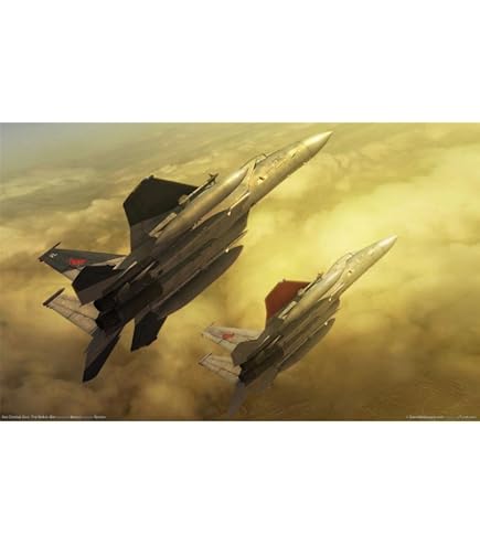 Amazon.com: PrimePoster - Ace Combat Zero The Belkan War Poster