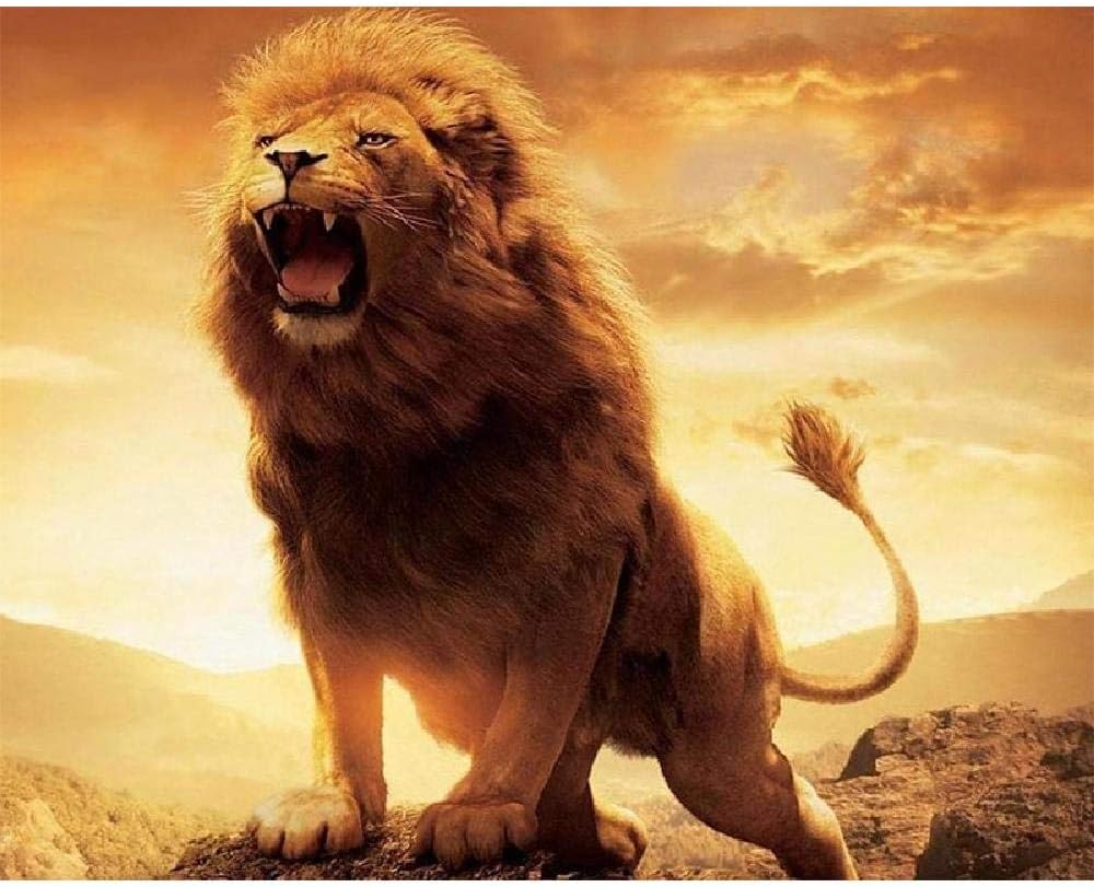 Kit De Pintura De Diamante 5D Diy, León Poderoso Redondo Bordado De