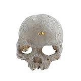 emours Reptile Hideout Skull Vivarium Aquarium Fish