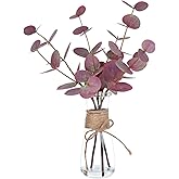 Artificial Eucalyptus Stems in Glass Vase with Faux Water, Red Eucalyptus Silver Dollar Leaves in Vase Fall Flowers Arrangements for Home Bathroom Office Table Centerpiece Shelf Decorations
