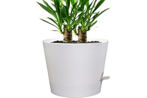 UOUZ Self Watering Pots for Indoor Plants,12 inch Planters with Drainage Holes Plastic Flower Pots with Deep Reservoir, White