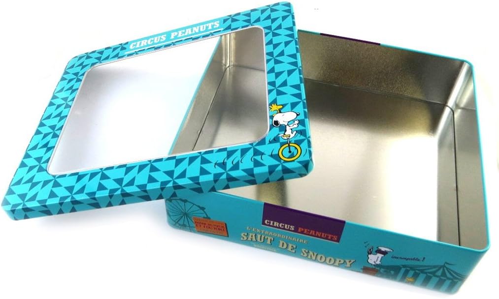 Caja metálica Snoopyturquesa - 25x21.5x7 cm.: Amazon.es: Hogar