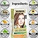 Indus Valley Gel Hair Color Dark Blonde 6.0 No PPD, No Ammonia, No Hydrogen Peroxide, No Barium with Refreshing Orange Aroma & Gives color in just 30 minutes (Upto 4 applications)