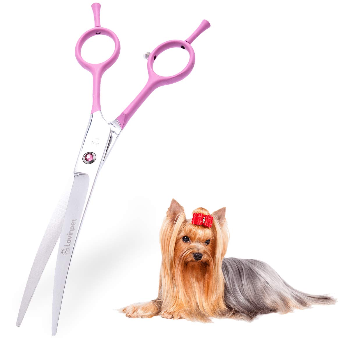 LovinPet Dog Grooming Scissors/6CR grooming Scissors for Dogs/curved Scissors for Dog Grooming/dog Scissors Grooming/left/right-handed Safety Blunt-tip Dog Scissors for Grooming Eyes for Dogs And Cats