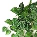 AKORD Atificial Fake Hanging Vine Plant Leaves Decoration, Fabric, Green, 90 x 40 x 10 cm