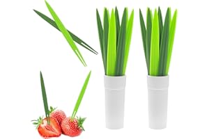 HAIKING Small Fruit Forks, 20 PCS Mini Cocktail Picks for Desserts, Snacks, Appetizers, Charcuterie Garnish Accessories (11.3