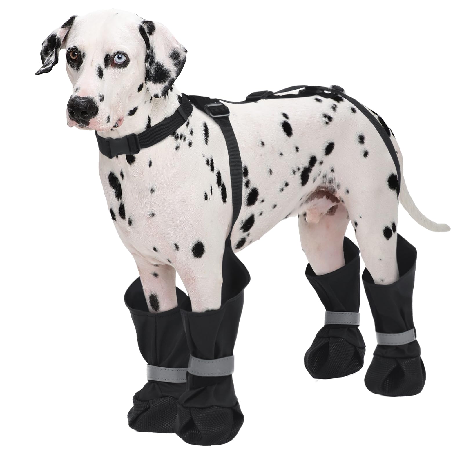 Photo 1 of Dog Suspender Boots, Anti-Slip & Fall Waterproof Dog Shoes Leggings, Dog Paw Protector for Small Medium Dogs, Adjustable Dog Boots Pet Shoes for Outdoor Walking Black,XXL