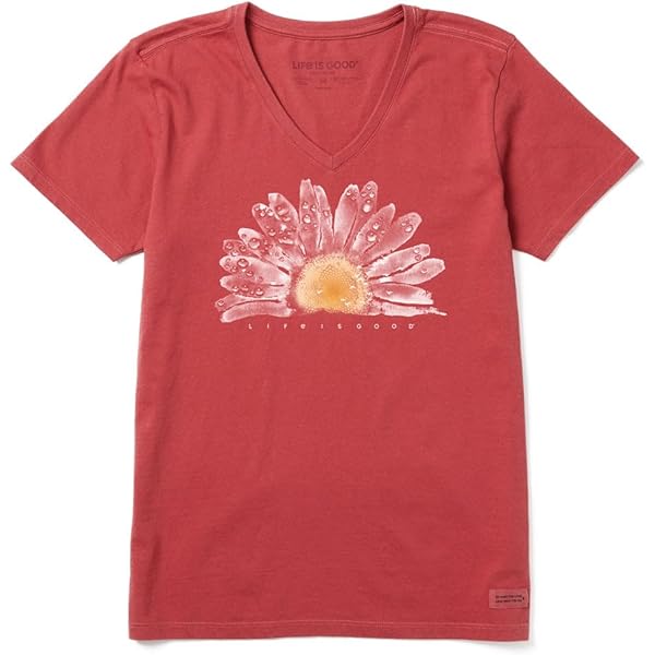 Amazon.com: Life is Good. Mens Crusher Tee Bike Vista, Faded Red-S