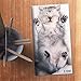 2019 – 2020 Kittens 2-Year Pocket Planner