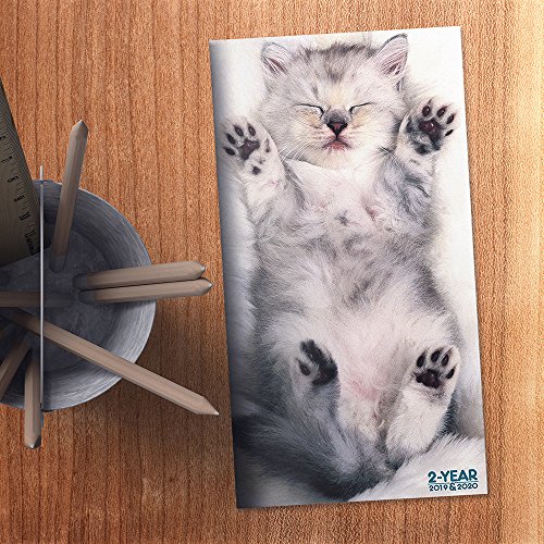2019 – 2020 Kittens 2-Year Pocket Planner - Thumbnail 6