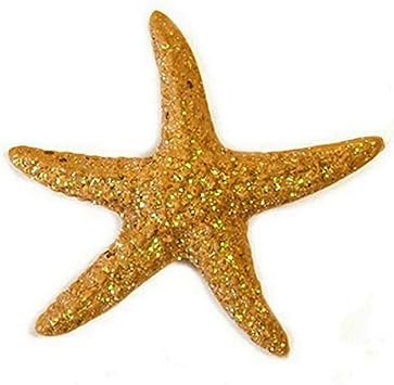 Etoile De Mer X4 Refdec883 Amazonfr Jeux Et Jouets