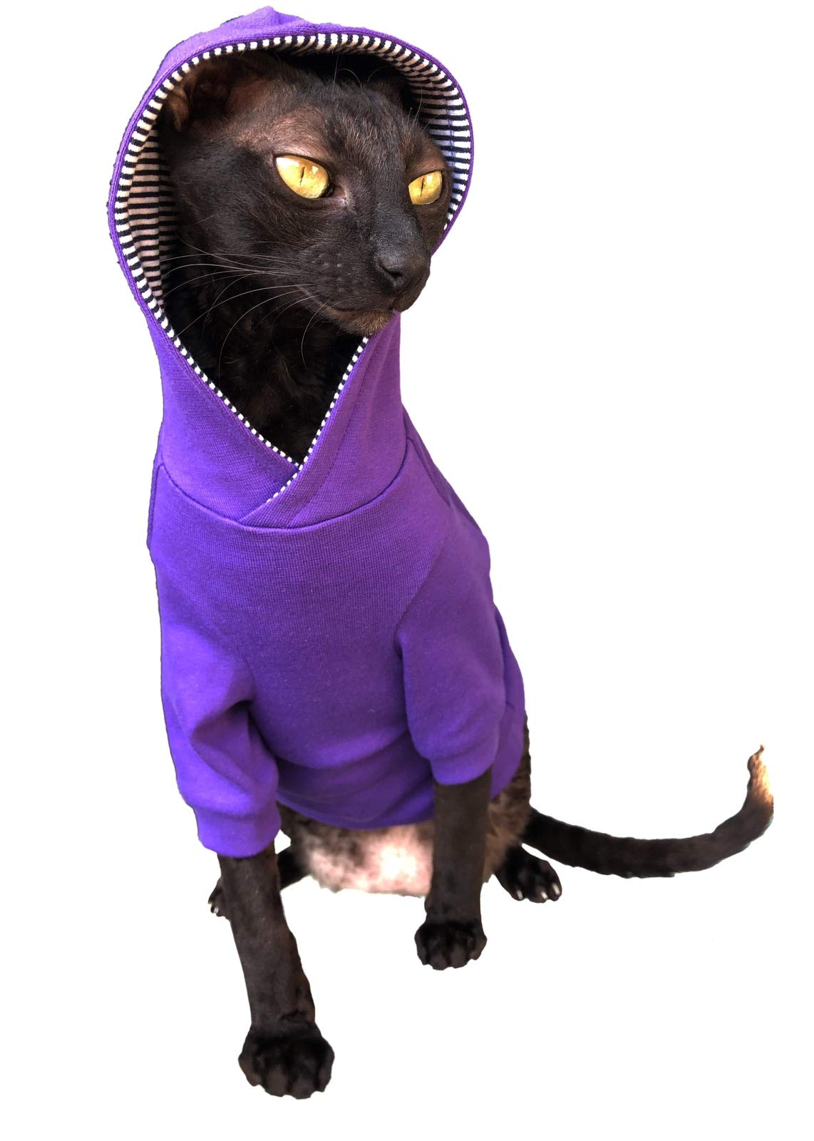 Kotomoda Sphynx Cat's Hoodie InPURPLE Naked Cat Hairless Cat Clothes (XS)
