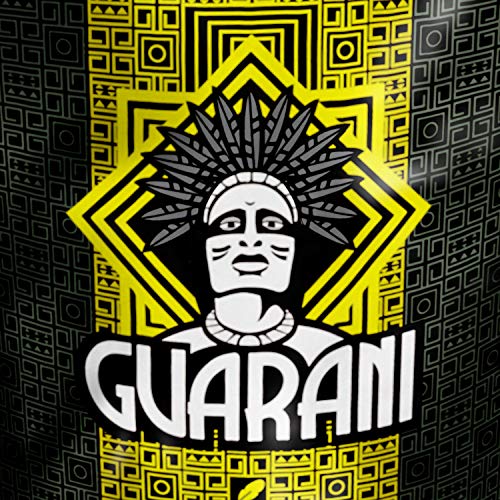 Mate Tee Guarani Menta-Limon Mate Tee Elaborada Yerba Mate aus Paraguay groÃes Paket (500g) – Bild 3