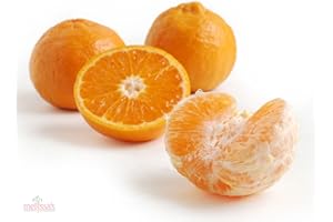 MELISSA'S PRODUCE Ojai Pixie Tangerines (4lbs)