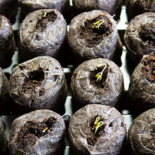 100 Pcs Peat Pellet 40mm Plant Starter Compressed Nutrient Fertilizer