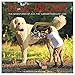 Bow-Wow: The Adventures of Juji 2019 Wall Calendar (Dog Breed Calendar) by 