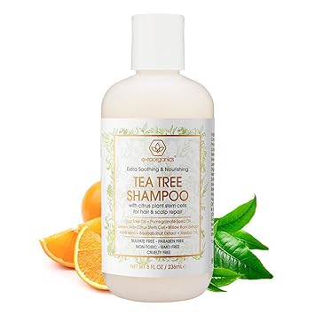 Amazon Com Organic Tea Tree Oil Shampoo Natural Moisturizing