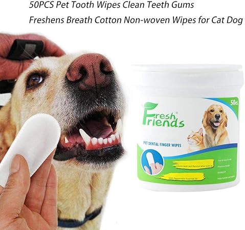 Liteness Lingettes Nettoyantes Pour Chiens Et Chats 50 Pcs Lingettes Dentaires Pour Chiens Et Chats Dents De Chat Boite De Lingettes Dentaires Pour Les Doigts Amazon Fr Cuisine Maison