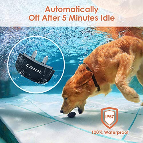 instecho dog training collar