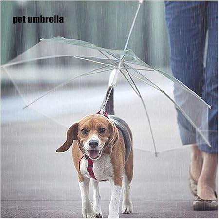 amazon dog umbrella