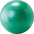 GYMNIC Plus Burst-Resistant Exercise Ball
