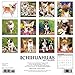 Just Chihuahuas 2017 Wall Calendar