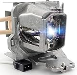 CTLAMP A+ Quality BL-FU245A Replacement Projector