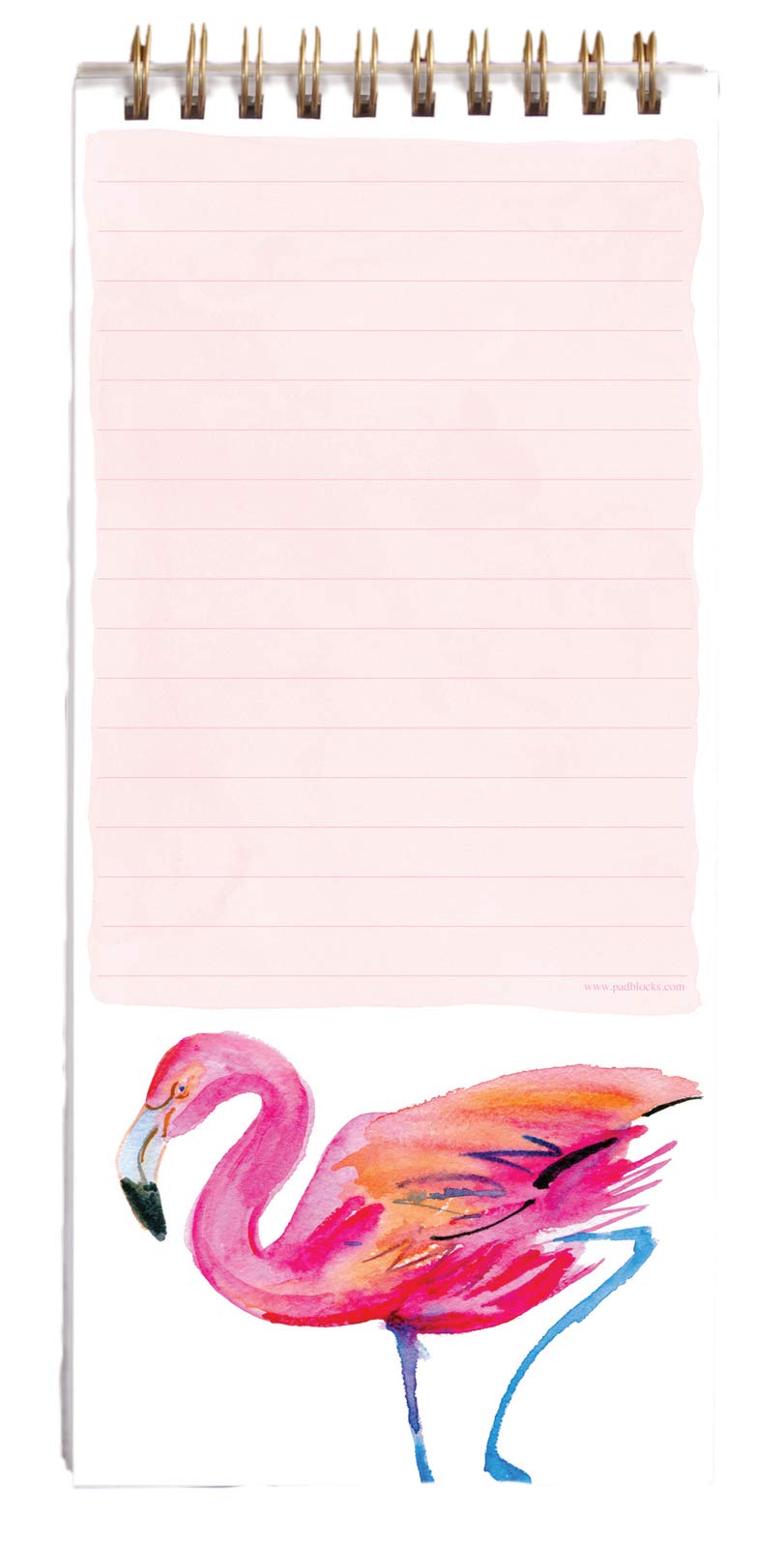 Flamingo Shopping List, JNS_444542