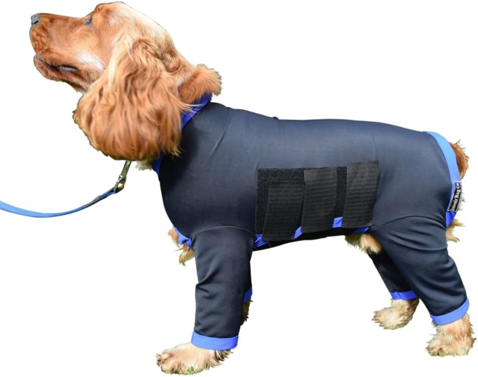 dog clothes for shedding