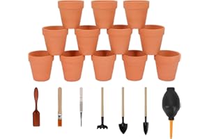 Nilos 12 Pack 3 Inches Clay Pots for Plants, Terracotta Pots, Mini Plant Pots for Succulent Display, Indoor, Outdoor, Home, Office, Wedding Decor