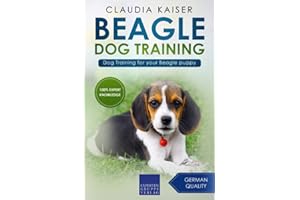 Beagle Dog Training: Dog Training for your Beagle puppy