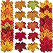 Zhanmai 500 Pieces 10 Colors Assorted Fake Silk Autumn Maple Leaves Artificial Fall Leaf for Weddings, Events and Decorating