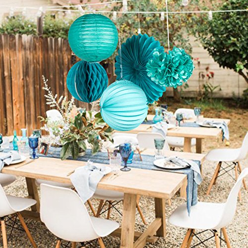 SUNBEAUTY Tissue Paper Pom Poms Paper Fans Honeycomb Balls Kit for Wedding Birthday Baby Shower Valentine Decoration 5 Pieces (Teal Blue)