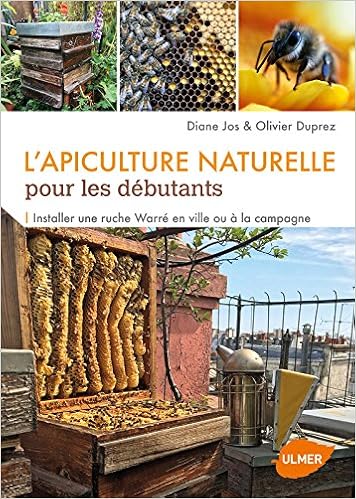 apiculture-naturelle-pour-les-debutants