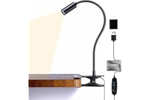 JHD Led Desk Lamp with Clamp - 10 Brightness Levels, 12" Flexible Gooseneck,USB Lamp - Suitable for Home Office, Reading, Bed Light,Quality Black Metal Clamp Light（includes charger adapter）