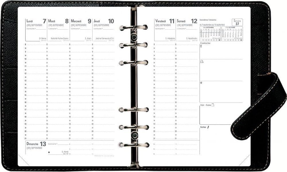 Quo Vadis Refill Pack – Mini Timer with Weekly Calendar 9 x 12.5 cm Year 2016/2017