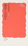 憲法とは何か (岩波新書)