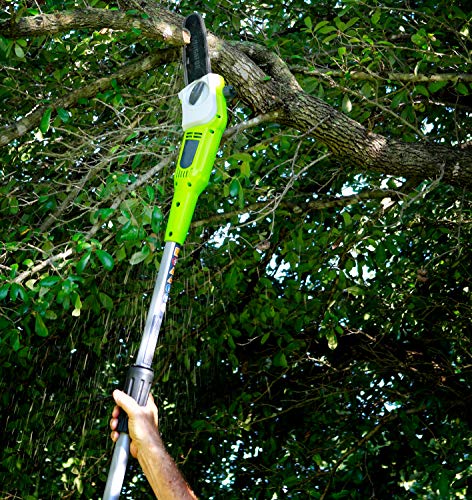 image for SUNGATOR 3-Pack 8 Inch Chainsaw Chain SG-S33, 3/8