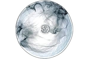 Kosta Boda Mine Black Decorative Plate, 7.9" Diameter