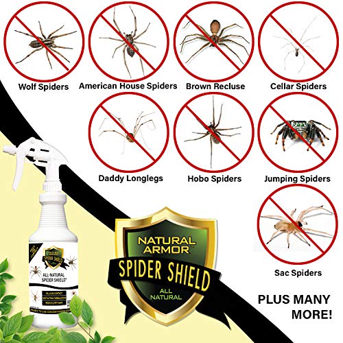 Spider Killer & Repellent Spray Powerful Peppermint Formulation Kills