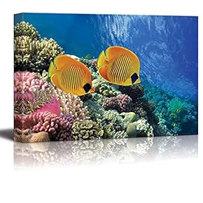 Yellow Tropical Fish Reef - Canvas Art
