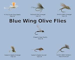 blue wing olive