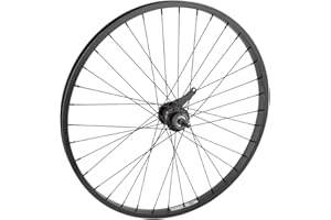 WHEELMASTER Wheel Master 24" Cruiser/Comfort Rear Wheel - Weinmann AS7X Rim, 36H, Coaster Hub, Black