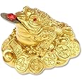 YAFIYGI Money Frog Feng Shui Statue with Coin Lucky Toad Decor for Attracting Wealth and Luck Little Charm for Office Vase Fengshui Symbol of Prosperity and Abundance