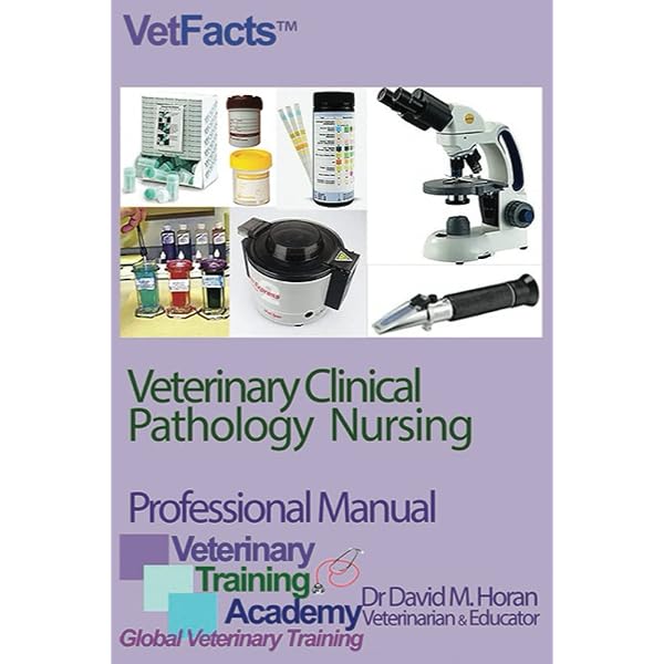 Current Veterinary Therapy: Food Animal Practice: 9781416035916