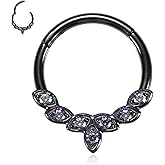 FUNLMO Septum Ring Daith Rook Helix Conch Tragus Piercing Jewelry 316L Surgical Steel Nose Ring Hoop Cartilage Earring 20G 18G 16G 14G