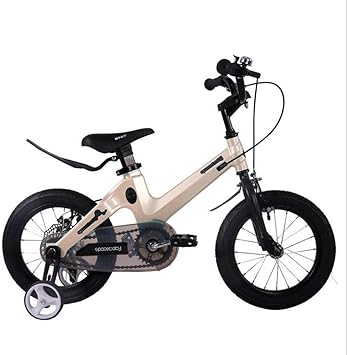 bicycle rear disc brake