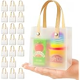 Clear Gift Bags with Handles 20 Pack | Semi-Transparent Favor Bags Frosted Loot Bags Medium Gift Bags | Reusable Plastic Good