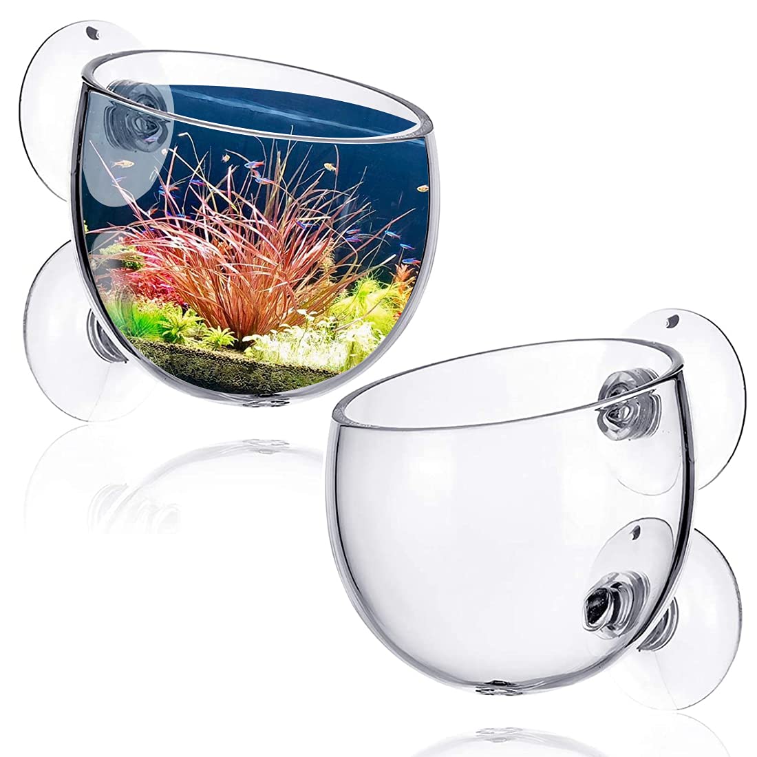 QUUPY 2 Pcs Glass Plant Cups,Aquarium Aquatic Planter,with 2 Suction,for Fish Tank Aquarium Decor